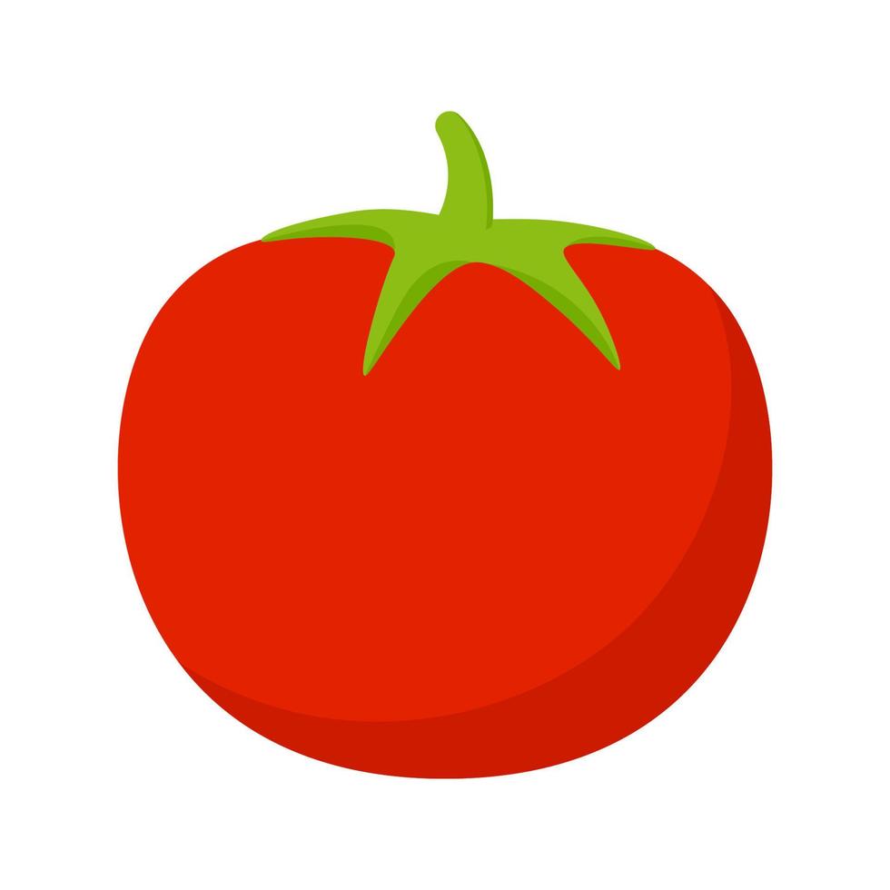 tomat isolerad på vit bakgrund vektor