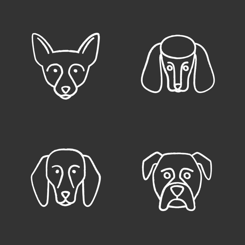 Hunderassen Kreidesymbole gesetzt. Chihuahua, Pudel, Beagle, Boxer. isolierte vektortafelillustrationen vektor