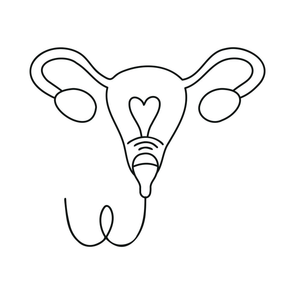 Gynäkologie Ultraschall. ärztliche Untersuchung, Geburtshilfe. Gebärmutter und Eierstöcke. vektor