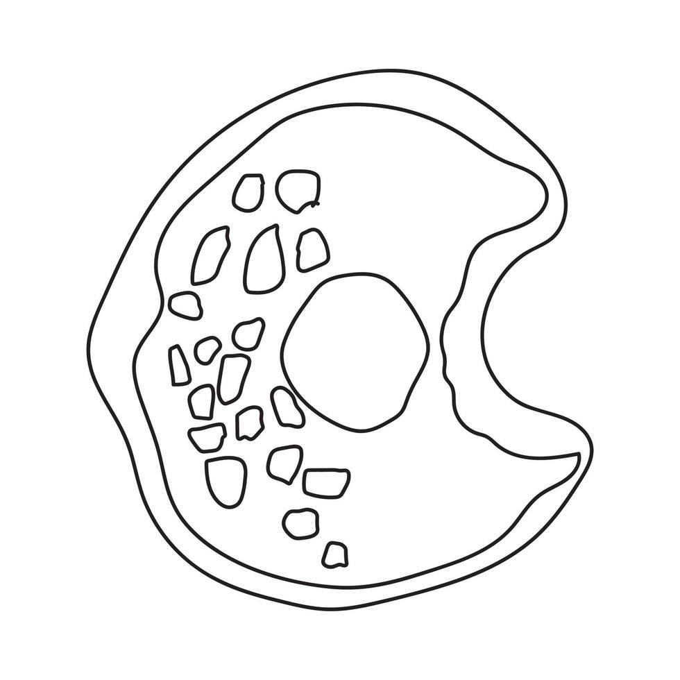 gekritzel donuts. Malbuch für Kinder und Erwachsene. Umriss-Vektor-Illustration. vektor