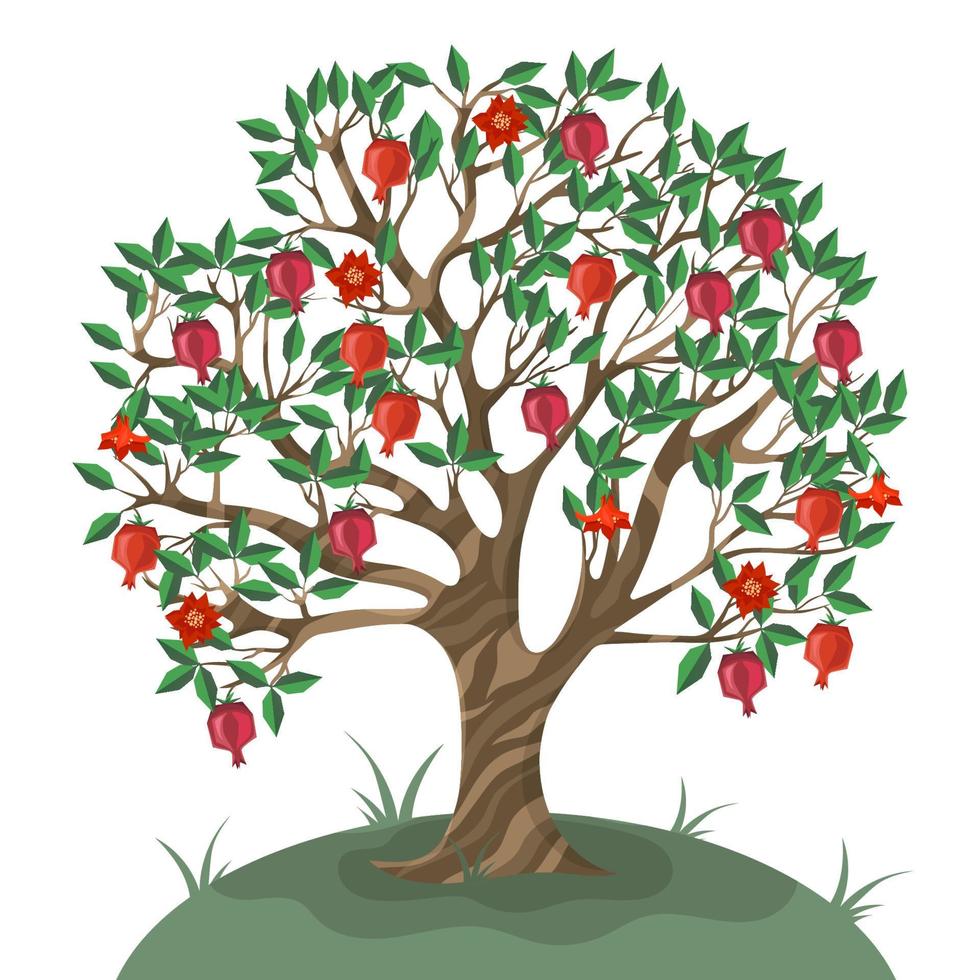 granatäppleträd isolerad på vit bakgrund. vektor illustration