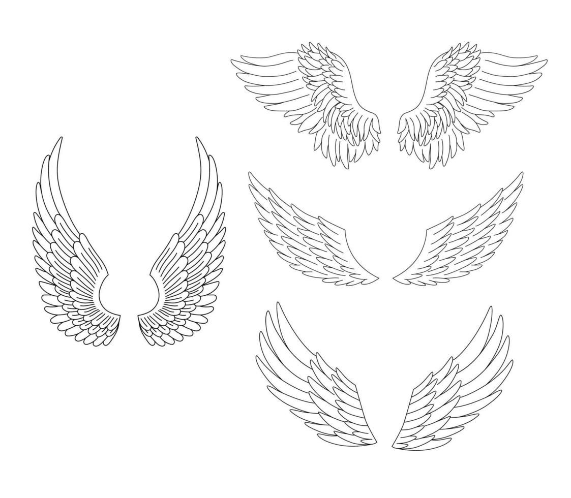 heraldische Flügel isoliert auf weißem Hintergrund. Vektor-Gliederungssymbole Sammlungen von Engeln oder Vogelflügeln. vektor