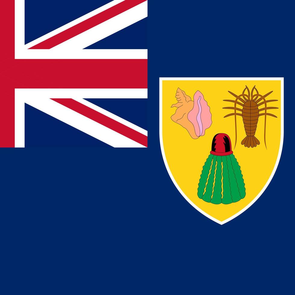 turks- och caicosöarnas flagga, officiella färger. vektor illustration.