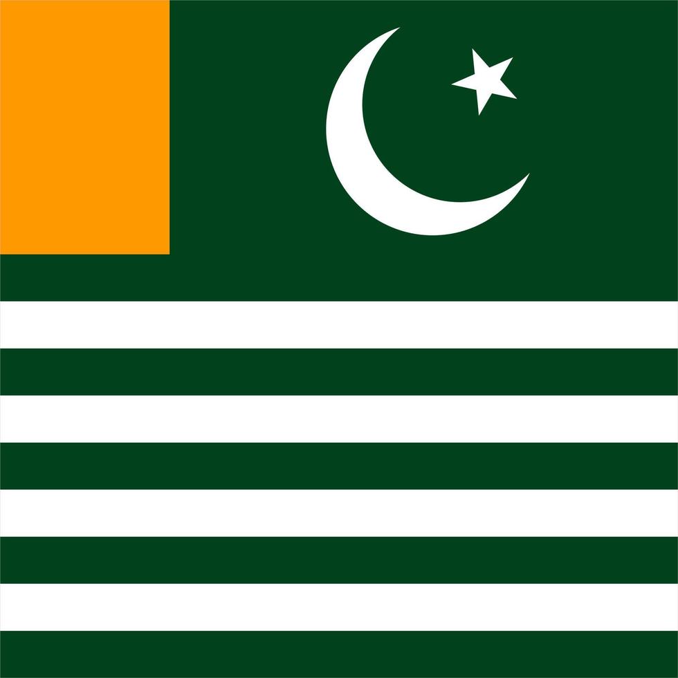 azad kashmir flagga, officiella färger. vektor illustration.