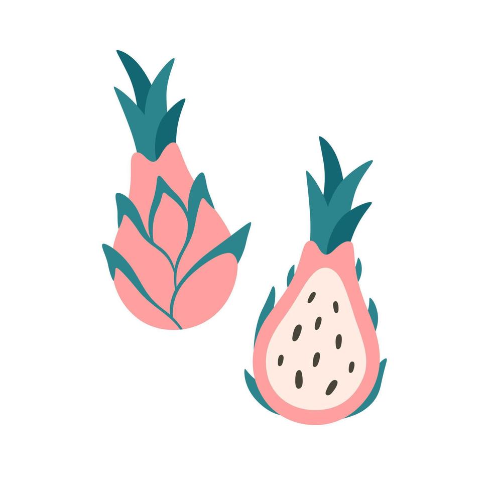 färsk pitaya, drakfrukt. exotisk och tropisk frukt. hälsosam mat. vektor