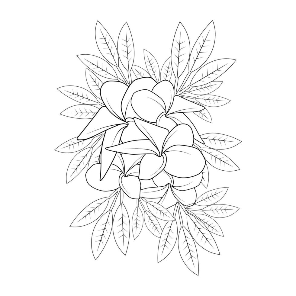 Plumeria Blume Doodle Malvorlagen Umriss Vektor-Illustration von isoliert in weißem Hintergrund vektor