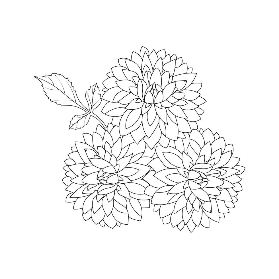 dahlia eller dalia blomma målarbok med vektorillustrationer i handritad skiss doodle stil linjekonst vektor