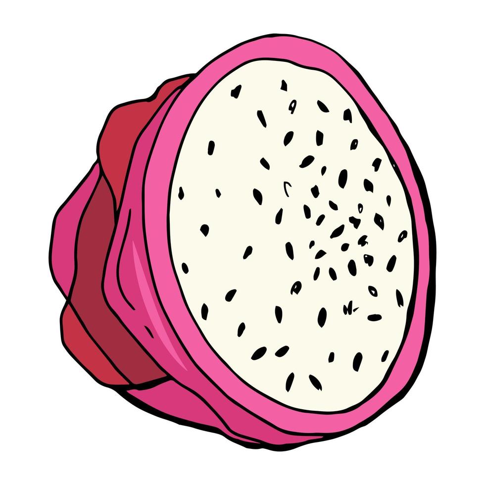 Rote Drachenfrucht, Pitahaya. weißer Hintergrund, Isolate.Vector Illustration. vektor