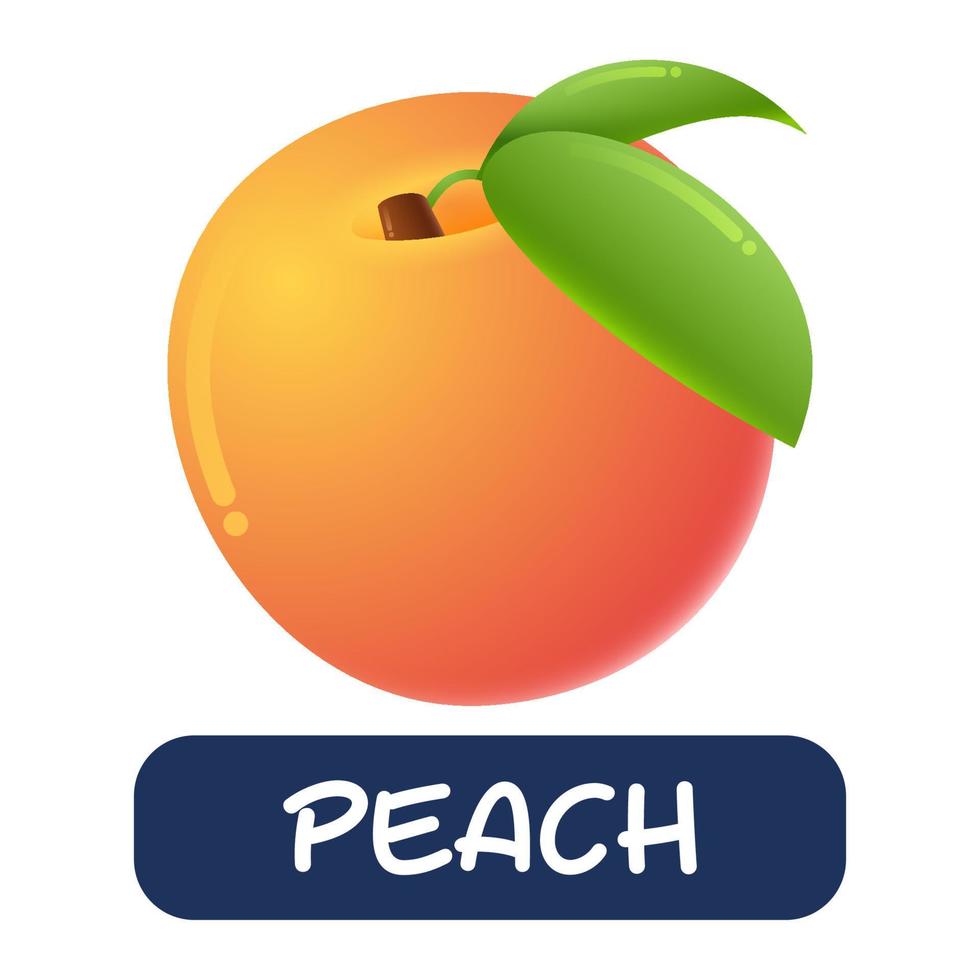 tecknad persika frukt vektor isolerad på vit bakgrund