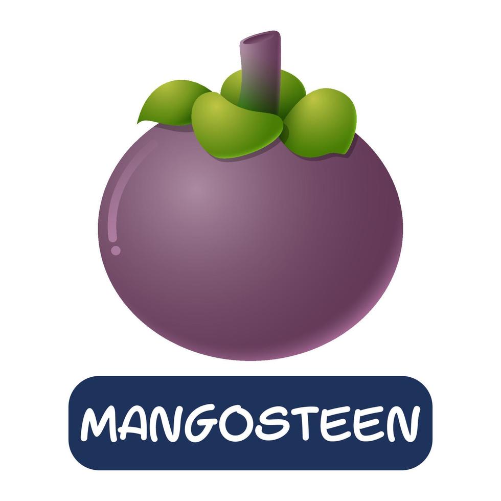 Cartoon-Mangostan-Fruchtvektor isoliert auf weißem Hintergrund vektor