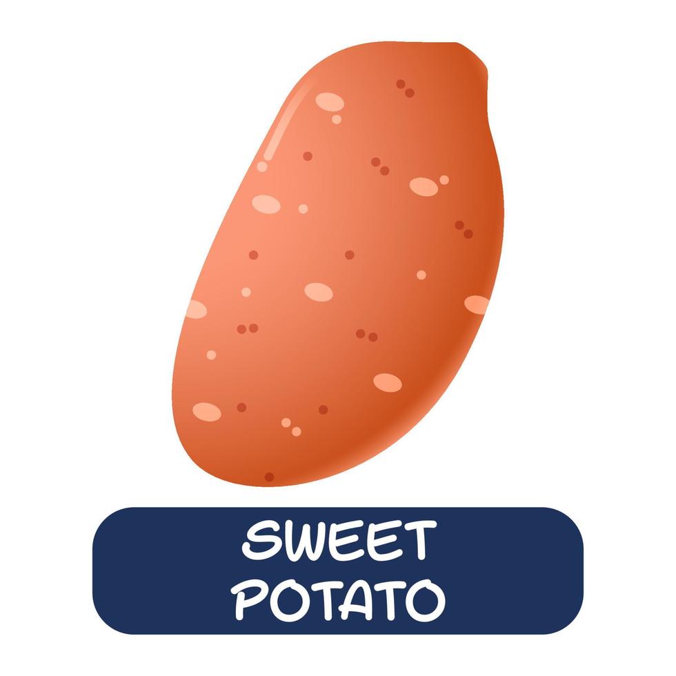 Cartoon-Süßkartoffel-Gemüse-Vektor isoliert auf weißem Hintergrund vektor