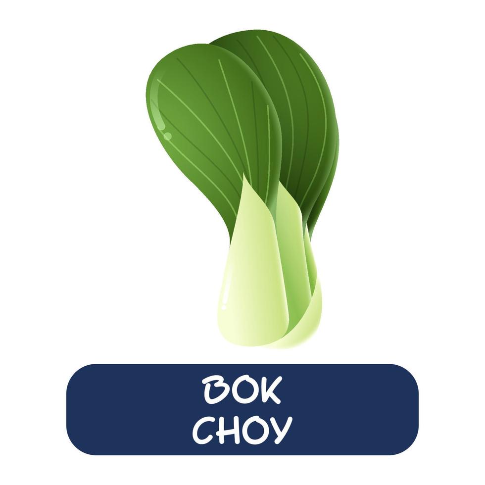 Cartoon Bok Choy Gemüse Vektor isoliert auf weißem Hintergrund