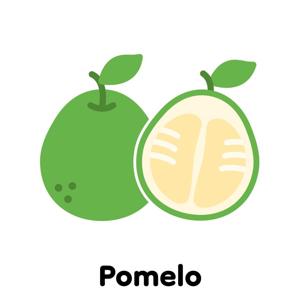 Pomelo-Frucht-Symbol, Vektor, Illustration. vektor