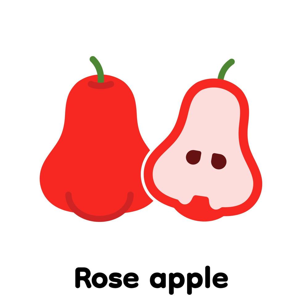 Rose-Apfel-Frucht-Symbol, Vektor, Illustration. vektor