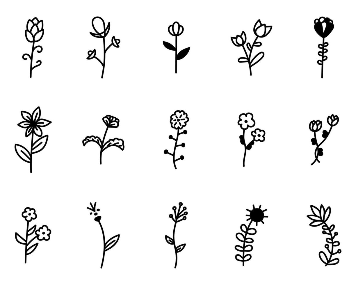 satz von gekritzelblumen mit dekorativen elementen der blätter. florales, botanisches Vektorgrafikdesign, isolierte handgezeichnete schwarze Elemente. vektor