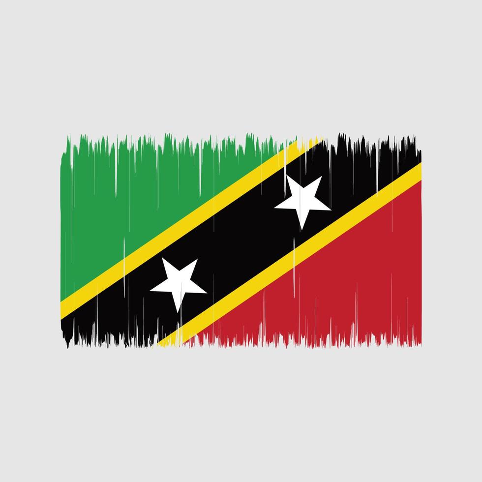 saint kitts och nevis flaggborste. National flagga vektor