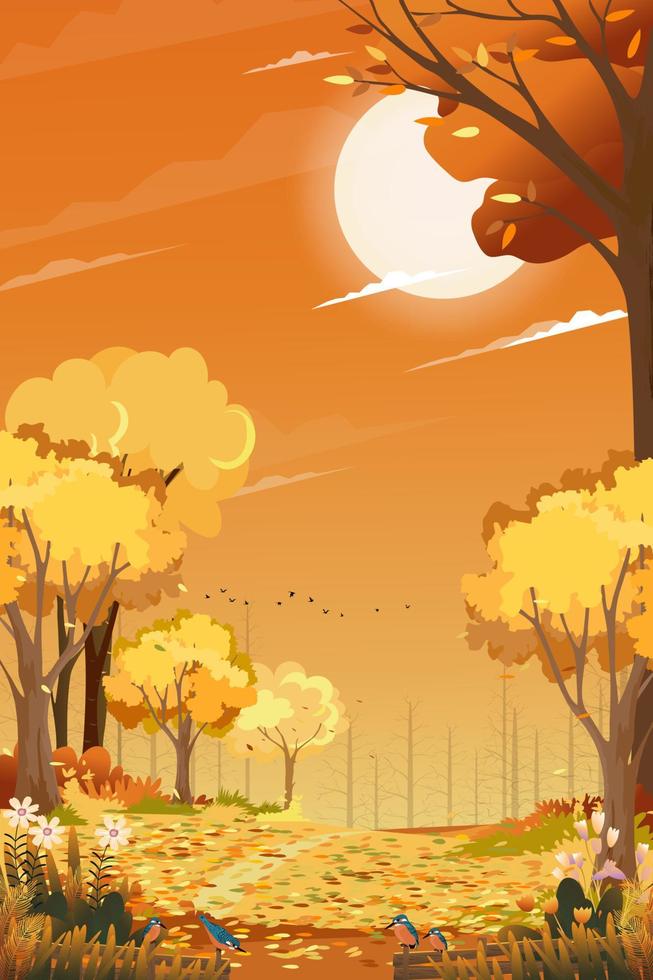 Herbstlandschaftswald mit orangefarbenem Himmelsonnenuntergang, Vektormittherbst natürlich in gelbem Laub, Cartoon-Herbstsaison auf dem Land mit Waldbaum und Grasfeld mit Sonnenaufgang, natürliches Hintergrundbanner vektor