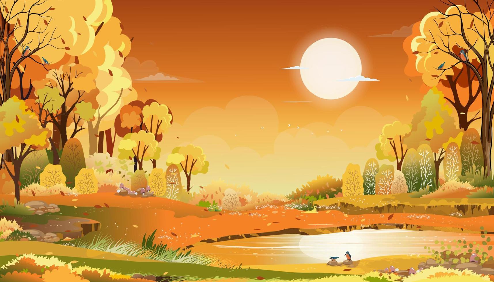 höstens lantliga landskap i kvällsljus med solnedgång, gul, orange himmelsbakgrund, vektor tecknad höstsäsong på landsbygden med skogsträd och gräsfält med soluppgång, naturlig banderoll i bakgrunden