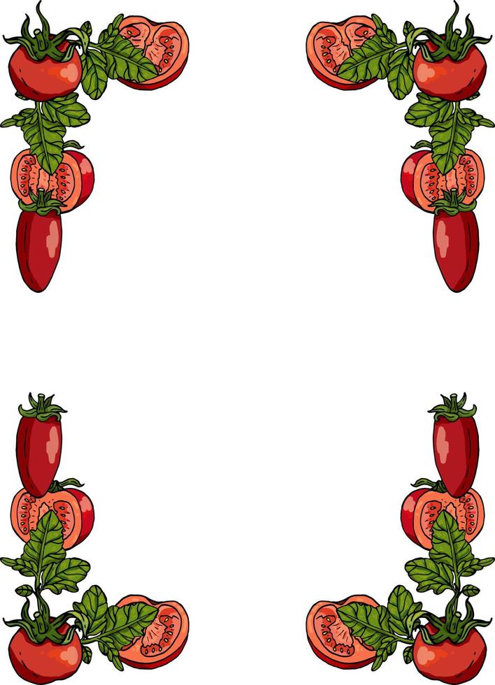 Rechteckiger Rahmen aus Tomaten, Tomatenblättern und Tomatenscheiben. dekoratives Element mit frischem Gemüse auf weißem Hintergrund für Ihr Design vektor