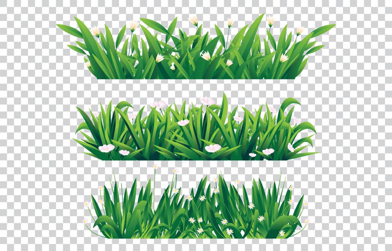 uppsättning grönt gräs element vektor