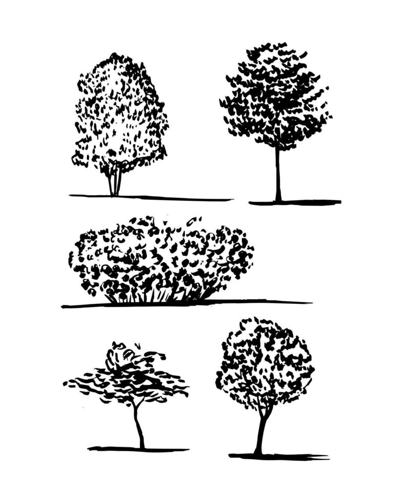 verschiedene arten von bäumen und buschvektorsatz. vektor
