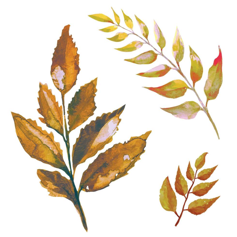 ställa in torkade löv av träd i boho stil illustration vektor