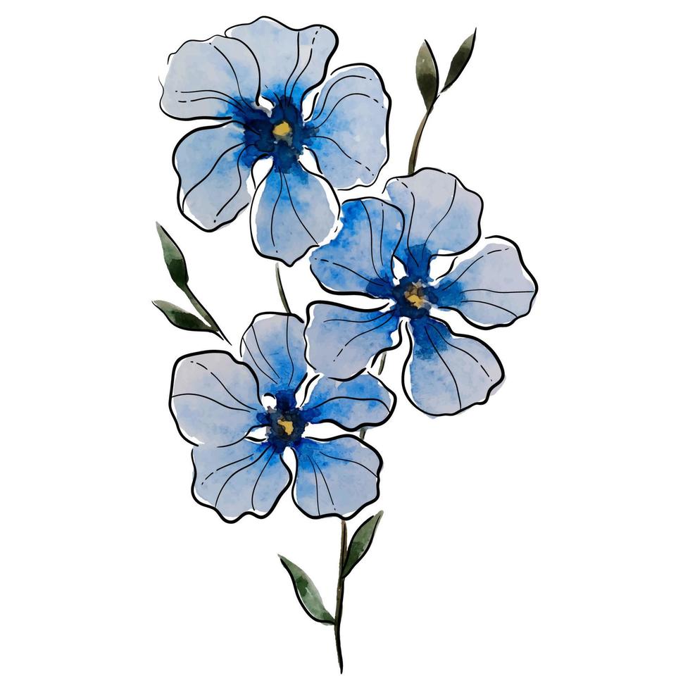 Vektor bunte Blume in Aquarell und Umriss gezeichnet.