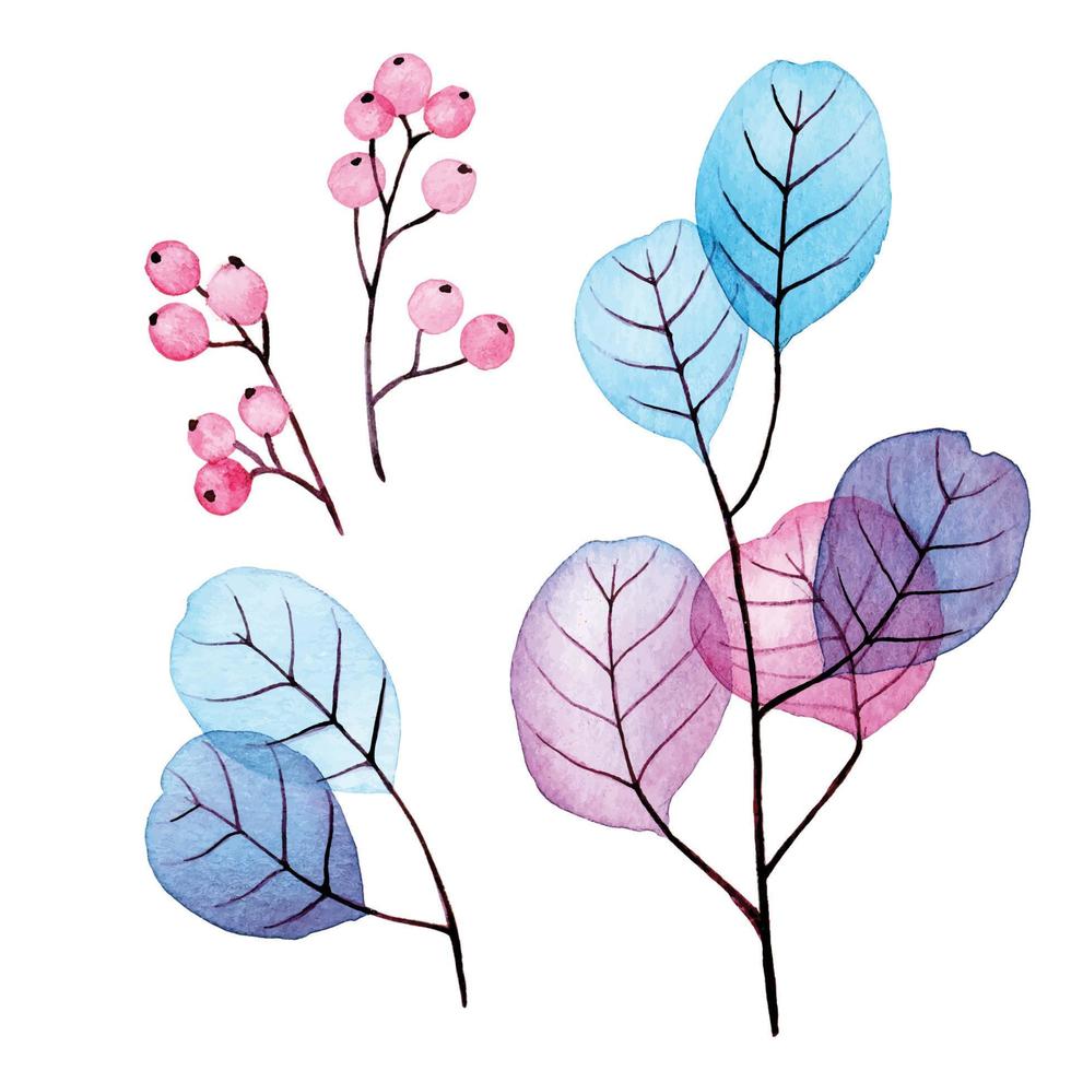 akvarellteckning. set med genomskinliga eukalyptusblad och blå och rosa bär. abstrakta löv och grenar. samling för bröllop dekoration, gratulationskort vektor