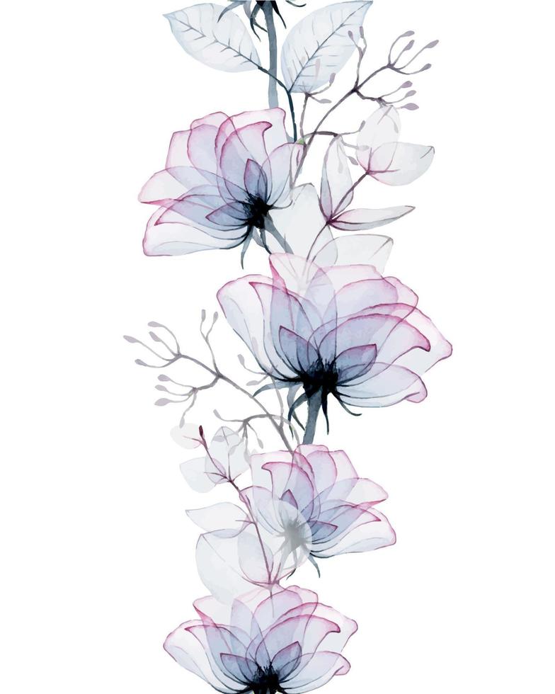 Nahtlose Aquarellgrenze aus transparenten Rosenblüten und Eukalyptusblättern isoliert auf weißem Hintergrund. transparente blaue und rosa blumen, röntgen. Vintage-Design für Hochzeit, Karten, Einladungen. vektor