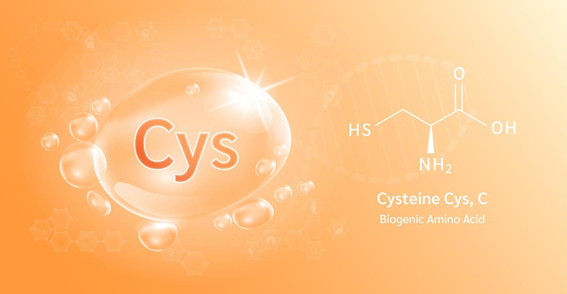 vattendroppe viktig aminosyra cystein cys, c och strukturell kemisk formel. lysin på en orange bakgrund. medicinska och vetenskapliga begrepp. 3D vektorillustration. vektor