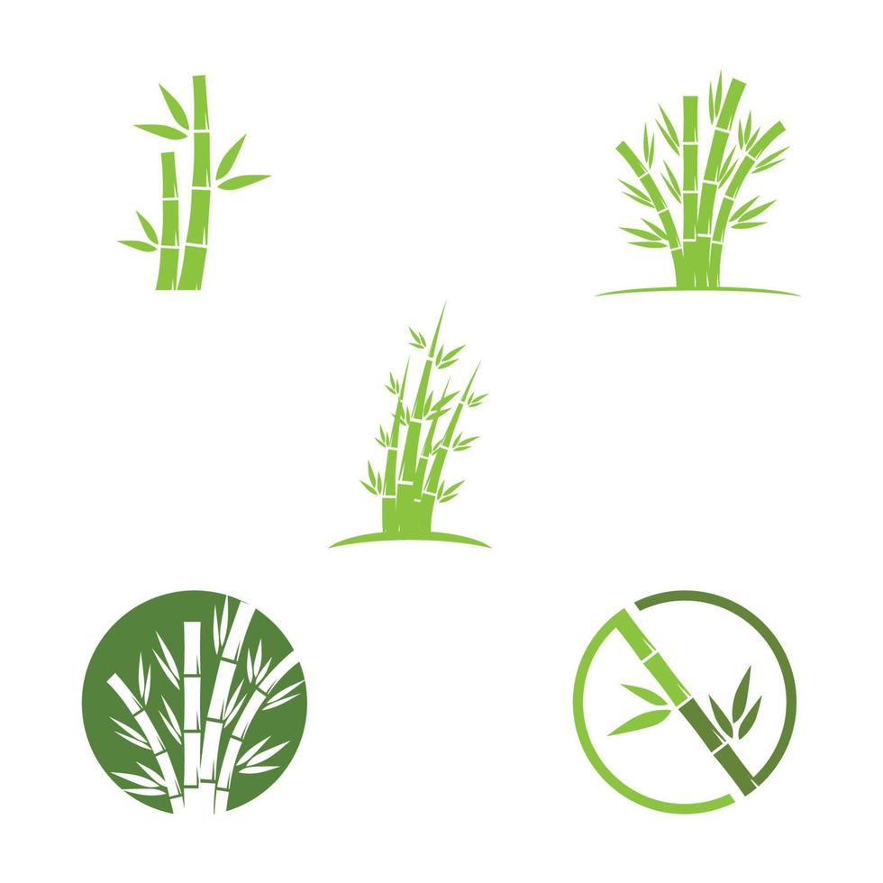 bambus mit grüner blattlogo-illustrationsvektorschablone vektor