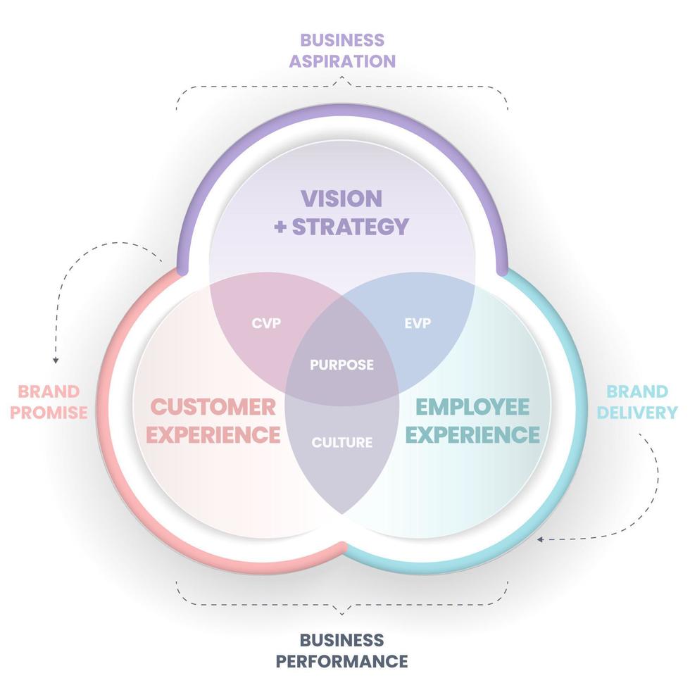 Employer Brand Diagramm ist eine Strategie, die Ihre Kultur, Vision und Ihren Zweck aufnimmt und eine authentische Geschichte erstellt, um die Mitarbeitererfahrung mit der Organisation zu verbessern. kultur- und geschäftsstrategiekonzept vektor