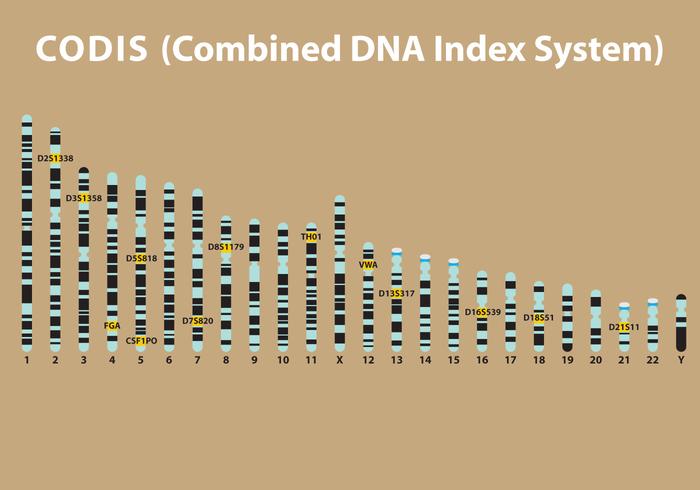 Dna codis vektor