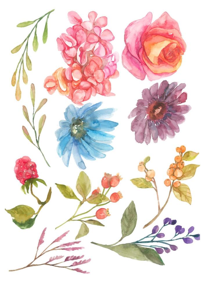 aquarellblumenblüte elemets vektor