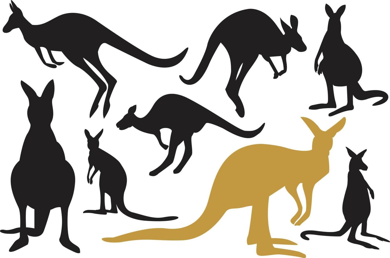 samling av känguru vektor. känguru illustration på den vita bakgrunden. vektor