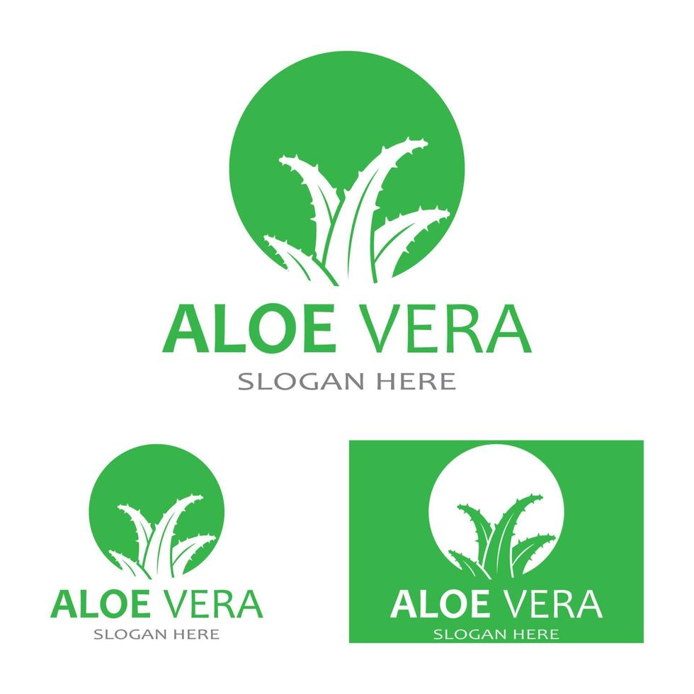 aloe vera logo vektorillustrationsvorlage vektor