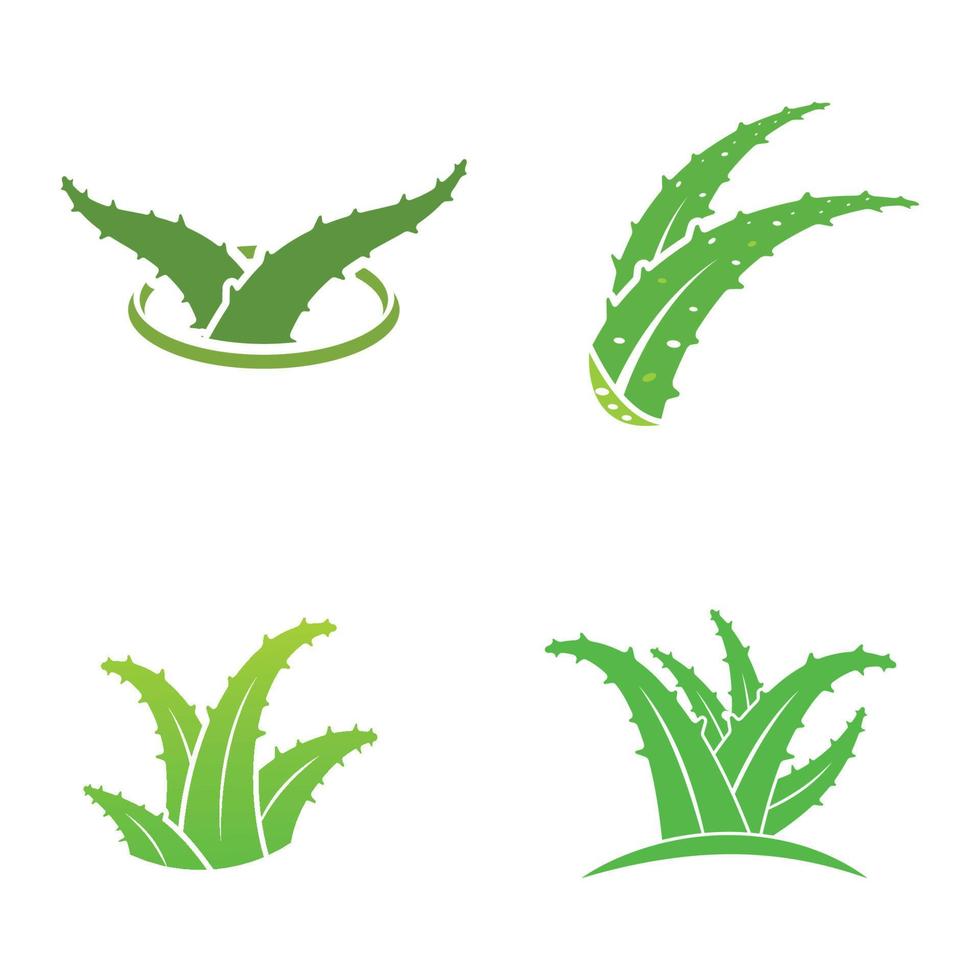 aloe vera logo vektorillustrationsvorlage vektor