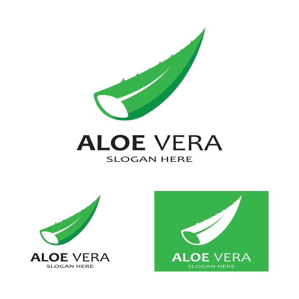 aloe vera logotyp vektor illustration mall