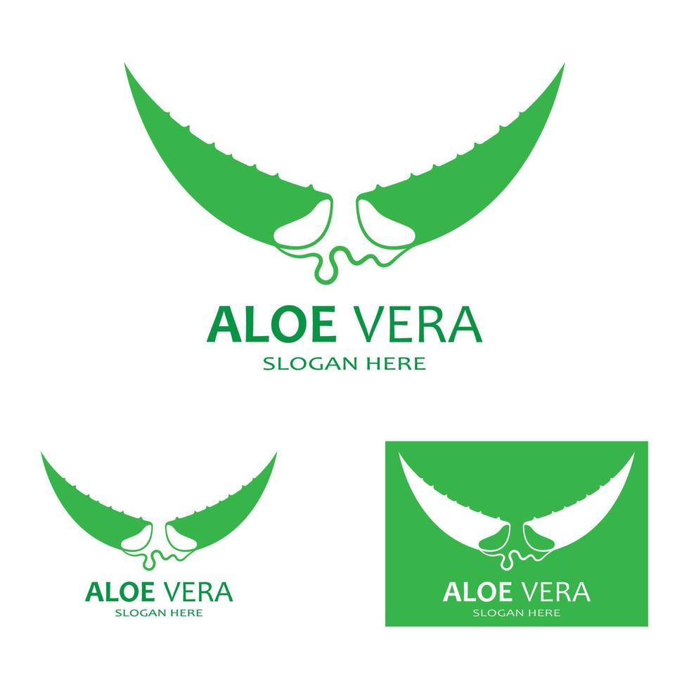 aloe vera logotyp vektor illustration mall