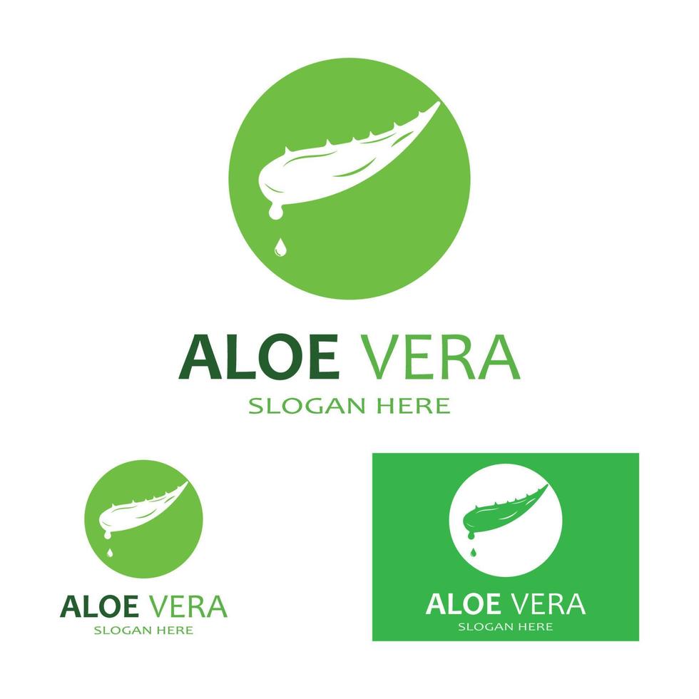 aloe vera logotyp vektor illustration mall