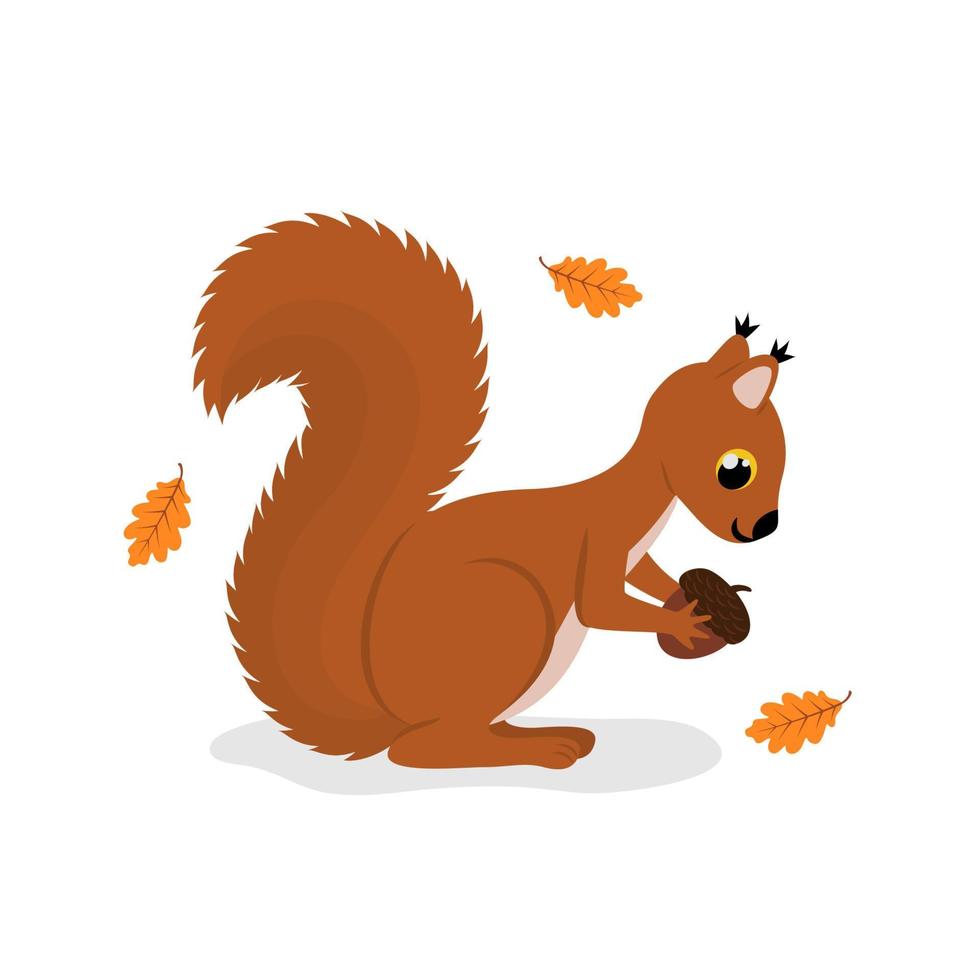 süßes Cartoon-Eichhörnchen mit Ohrbüscheln und flauschigem Schwanz mit Eichel vektor