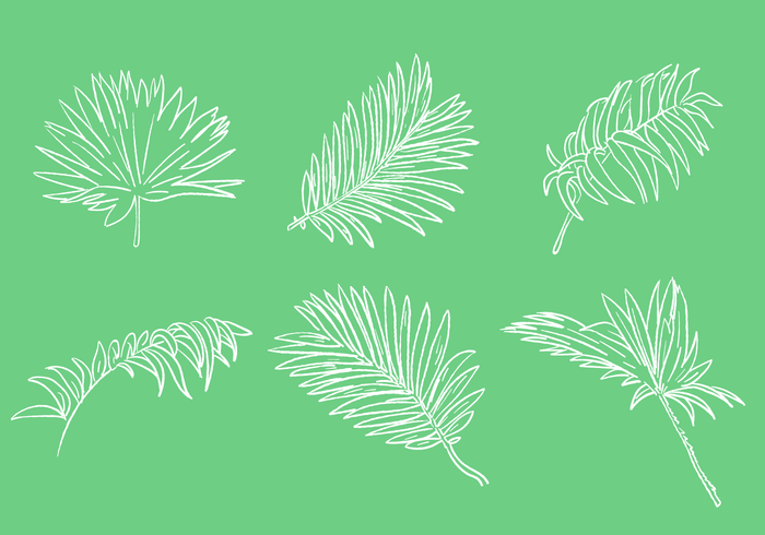 Scribble Palm leaf vektor uppsättning