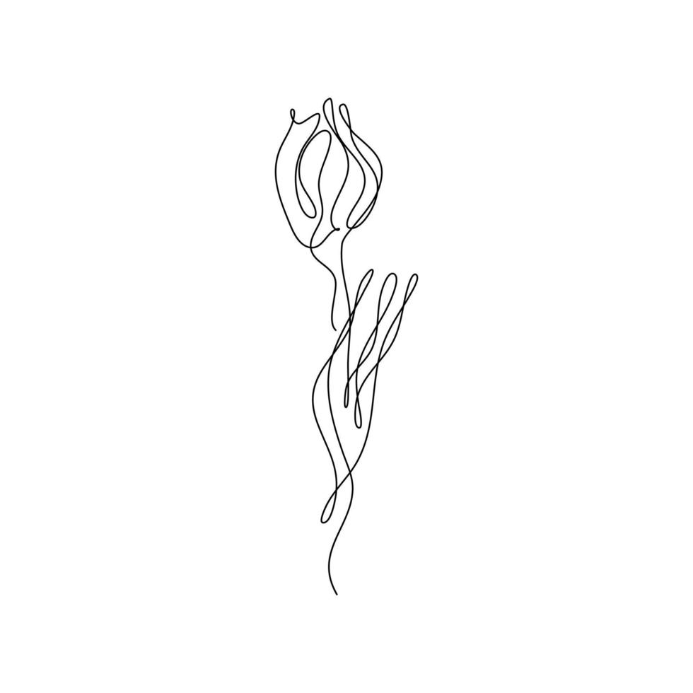 abstrakte blume tulpe kontinuierliche strichzeichnung kunst einzigartig ästhetisch einfach perfekt für druck, wanddekoration, telefonhülle, hemd, aufkleber, kissen, acryl, bordüre, tapete, hochzeit vektor