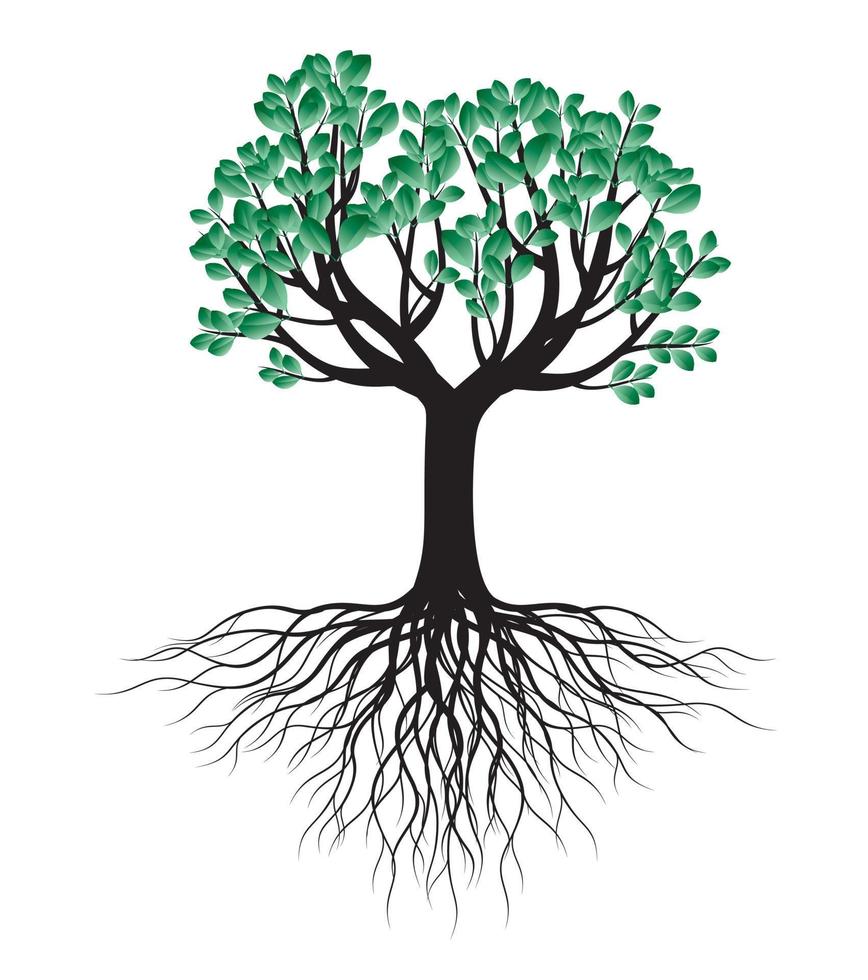 grönt vårträd med rötter. vektor illustration.