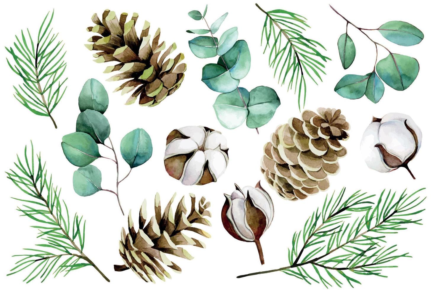 aquarell weihnachten, winterset. Baumwollblumen, Eukalyptusblätter, Tannenzweige und Zapfen isoliert auf weißem Hintergrund. Vintage-Kollektion für das neue Jahr vektor