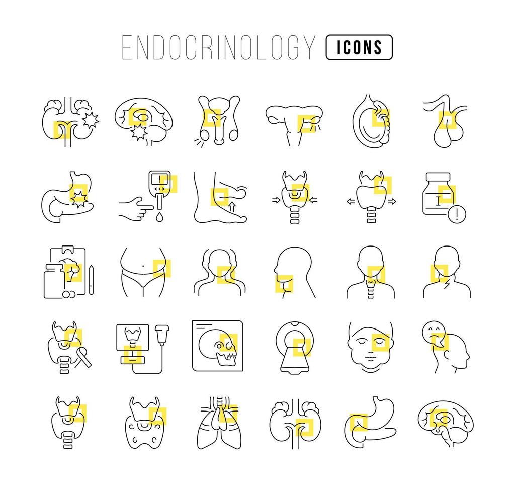 uppsättning linjära ikoner för endokrinologi vektor