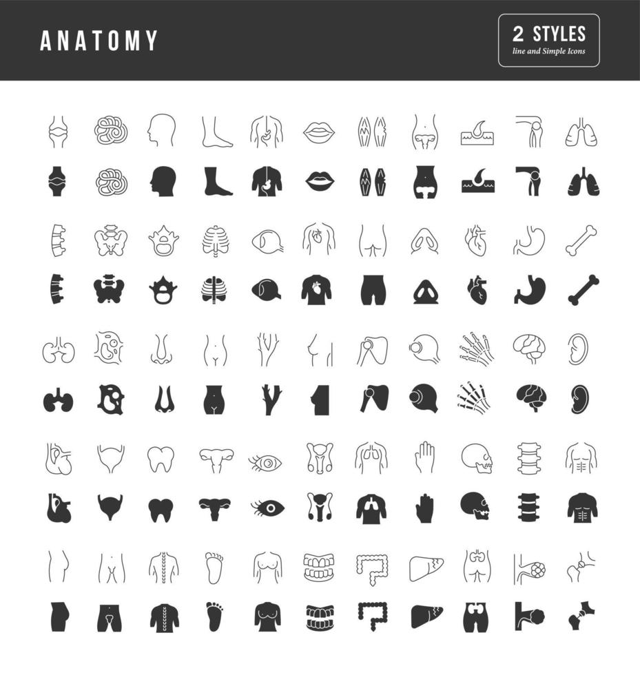 uppsättning enkla ikoner för anatomi vektor