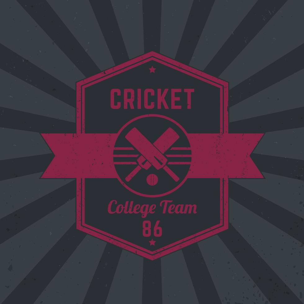 cricket team vintage logo, abzeichen, tetragonales emblem vektor