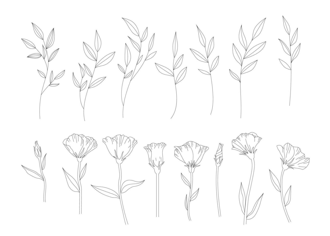 linje handritad uppsättning illustration av blommor och blad, blad på en gren, elegant ranunculus smörblomma för trendiga blommönster. vektor. vektor