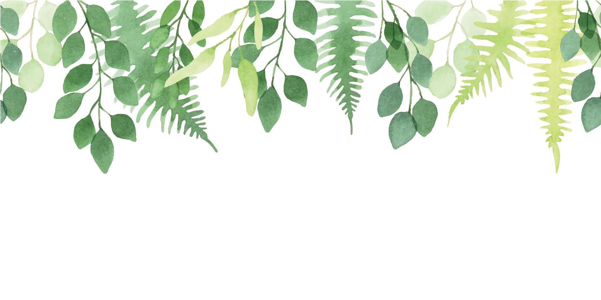 sömlös akvarell kant, mönster, banner. söta enkla eukalyptus- och ormbunksblad. abstrakt tryck med transparenta gröna blad isolerad på vit bakgrund vektor